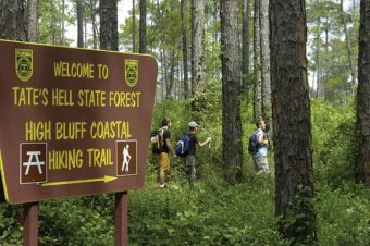 Tate's Hell State Forest