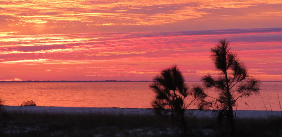 Sunrise View